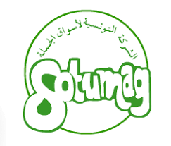 Logo SOTUMAG